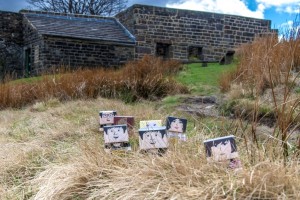 Mini marchers at Top Withens (the inspiration for Wuthering Heights)