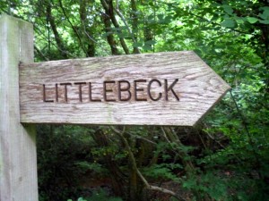 Little Beck 002